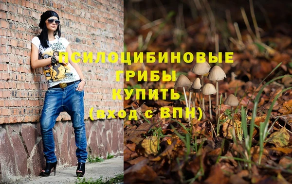 марки nbome Новодвинск