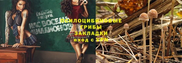 марки nbome Новодвинск