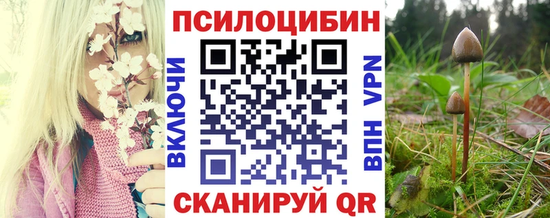 Псилоцибиновые грибы ЛСД  Купить  Катайск 